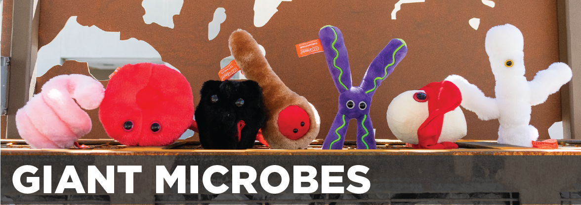 Unm Bookstore Giant Microbes